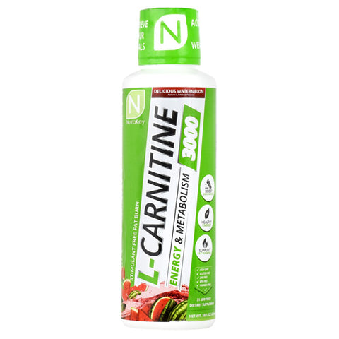 L-carnitine 3000, Delicious Watermelon, 16 FL OZ